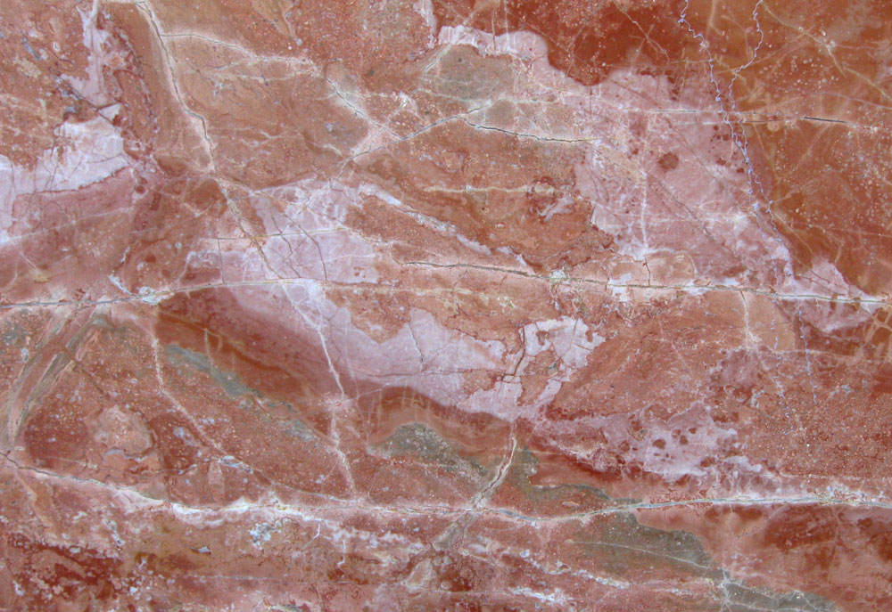 Arancio di Selva
