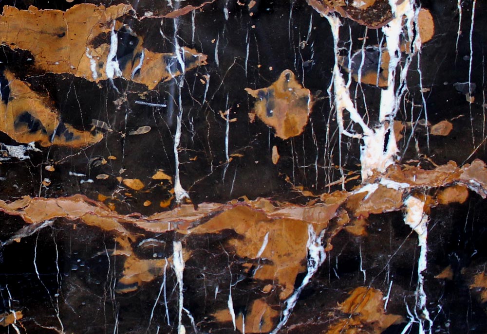 Black and Gold
