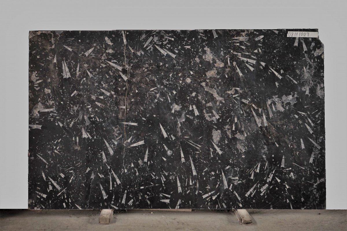 Nero Fossile